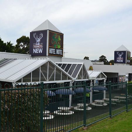 The Oaks Hotel Motel Albion Park Εξωτερικό φωτογραφία